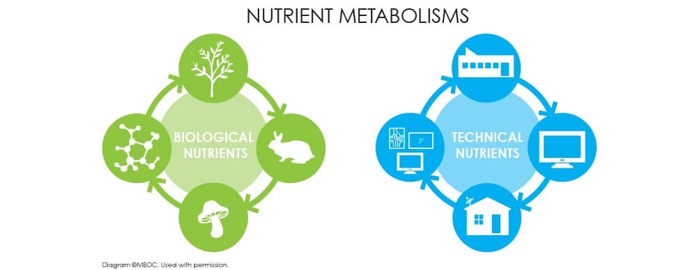 Illustration of nutrient metabolisms of cradle-to-cradle approach for biological and technical nutrients