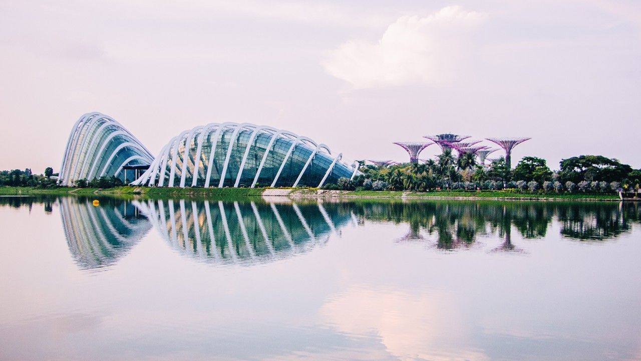 View of the domes and the Supertrees across the water
