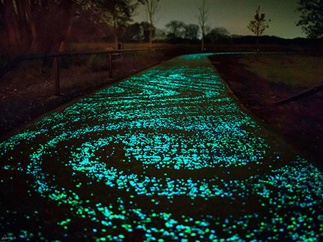 a bicycle lane illuminated by the light-generating cement used for construction