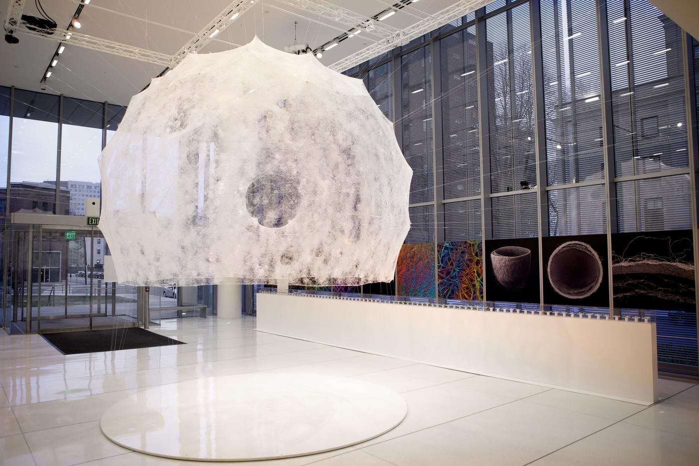Silk Pavilion by Mediated Matter Lab, MIT