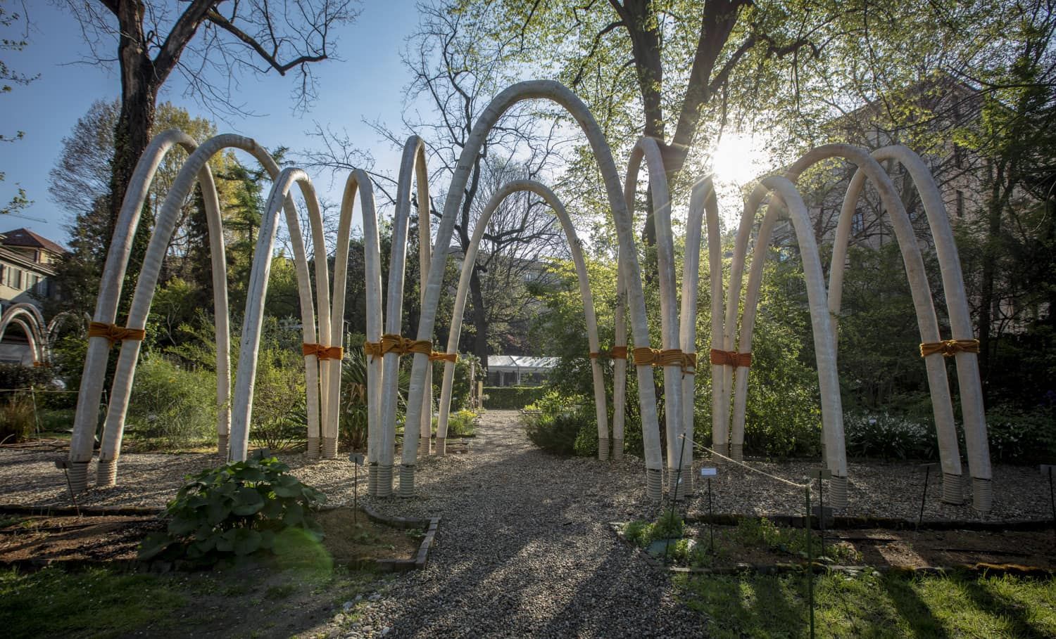 The installation of arched structures built out of Mycelium at its site