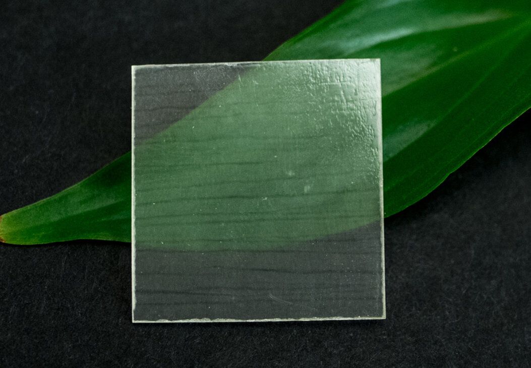 A square piece of translucent wood and a green leaf behind it