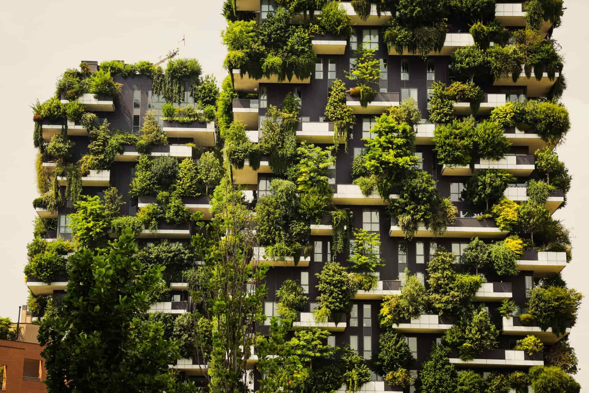 Sustainable Architecture: Everything you need to know